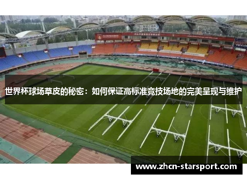 世界杯球场草皮的秘密：如何保证高标准竞技场地的完美呈现与维护