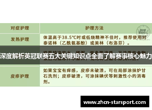 深度解析英冠联赛五大关键知识点全面了解赛事核心魅力